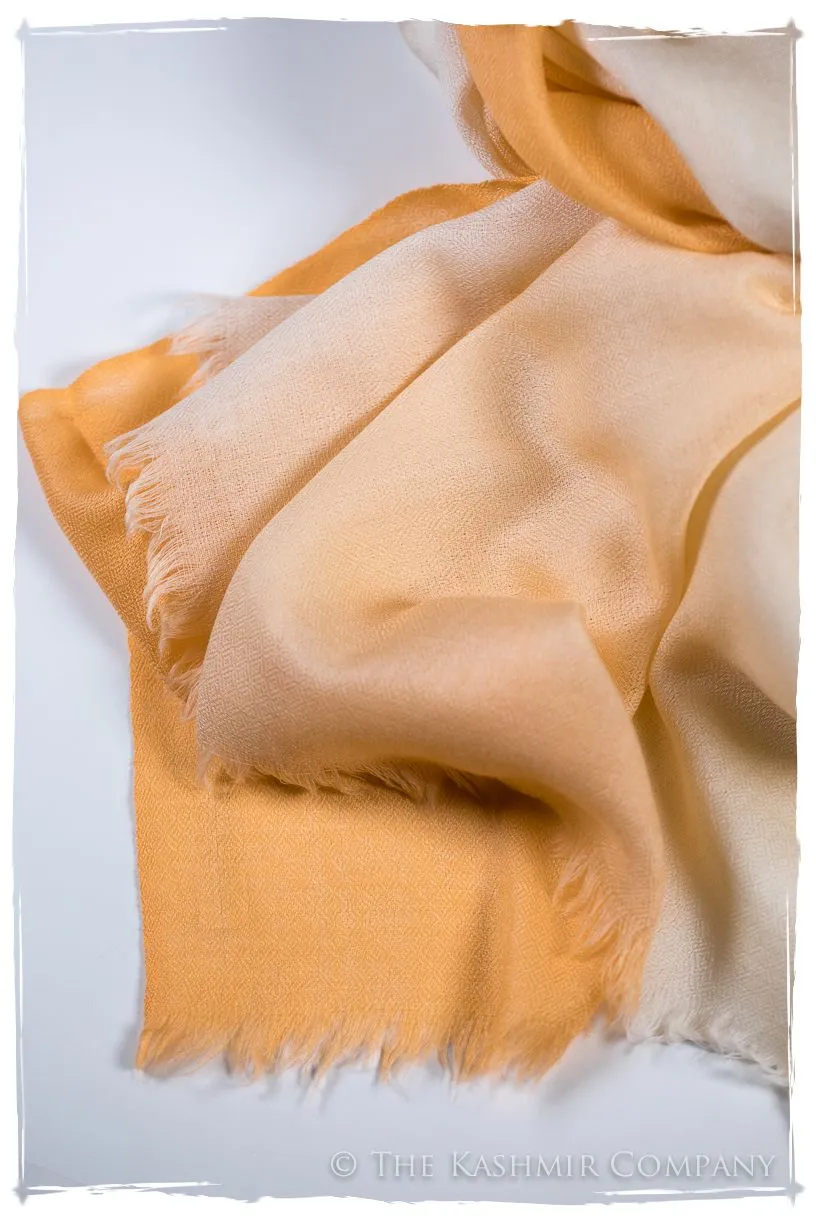 Artisan Glow Harmonieuse Kashmir Wool Scarf