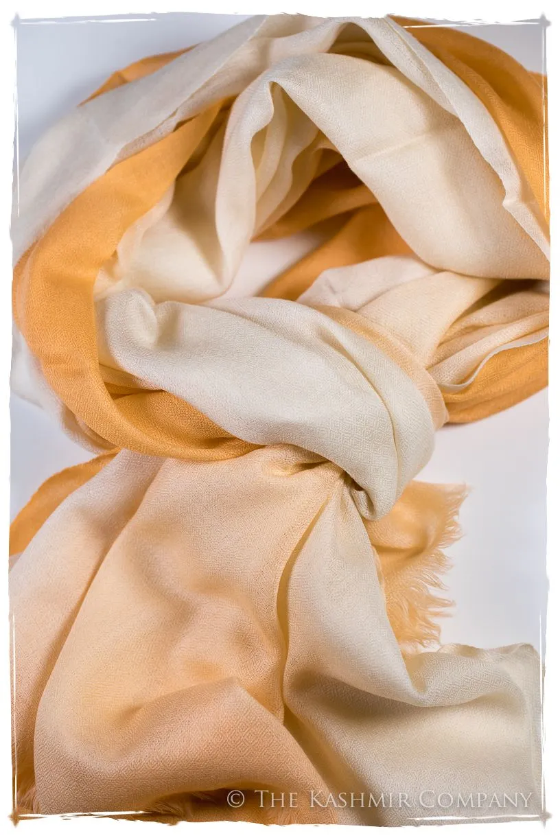 Artisan Glow Harmonieuse Kashmir Wool Scarf