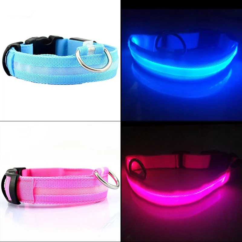 Flashing Luminous Adjustable Night Safety Nylon Pet Collar