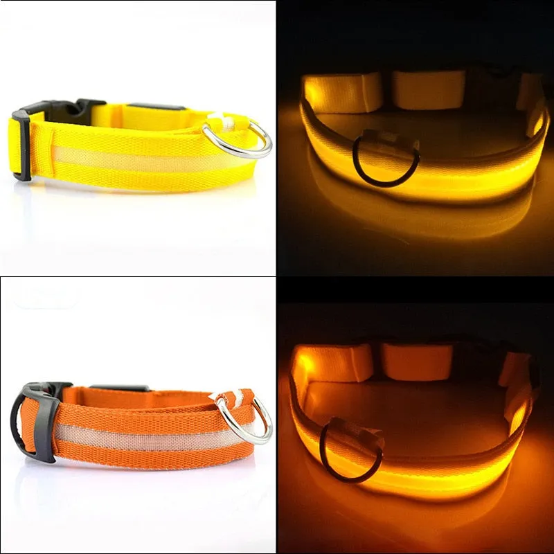 Flashing Luminous Adjustable Night Safety Nylon Pet Collar