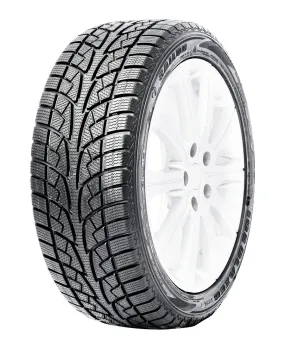 Ice Blazer WSL2 - 215/65R16 98H