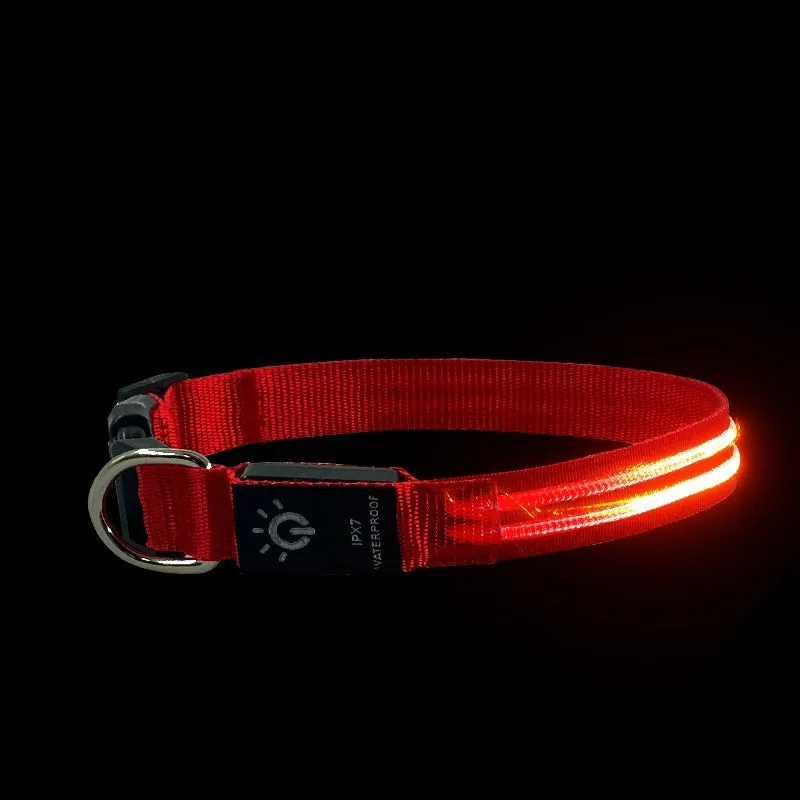 LED Pet Collar Waterproof Lighting Collar Night