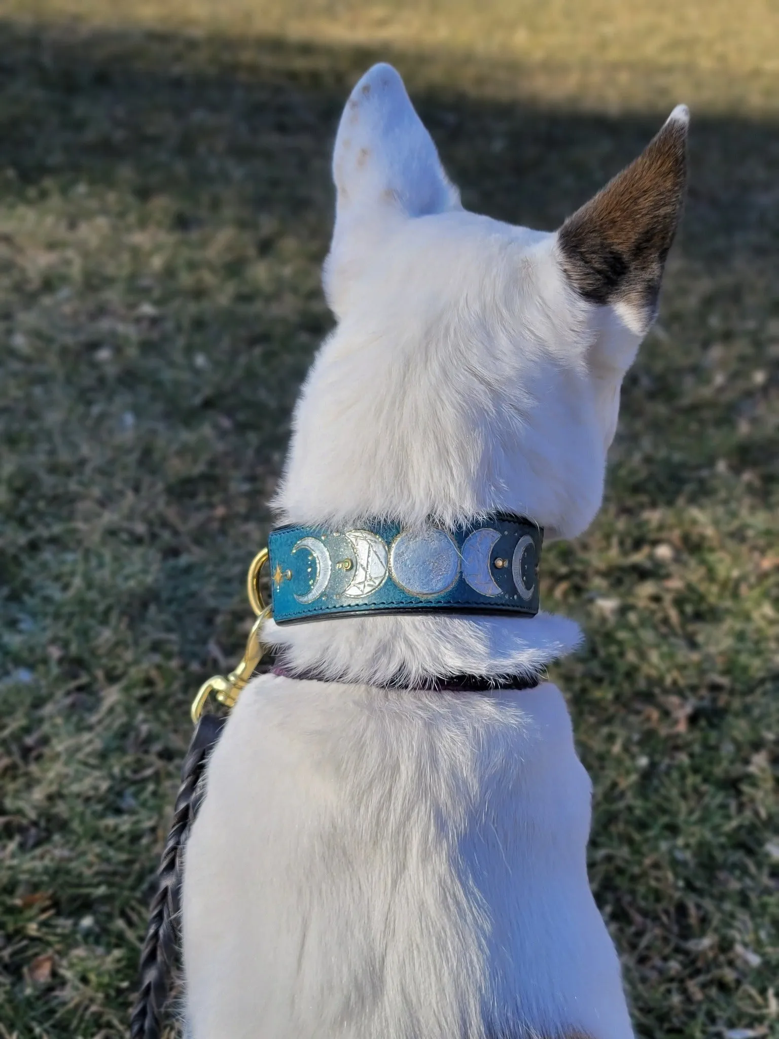 Moon Phases / Lunar Cycle / Celestial Dog Collar