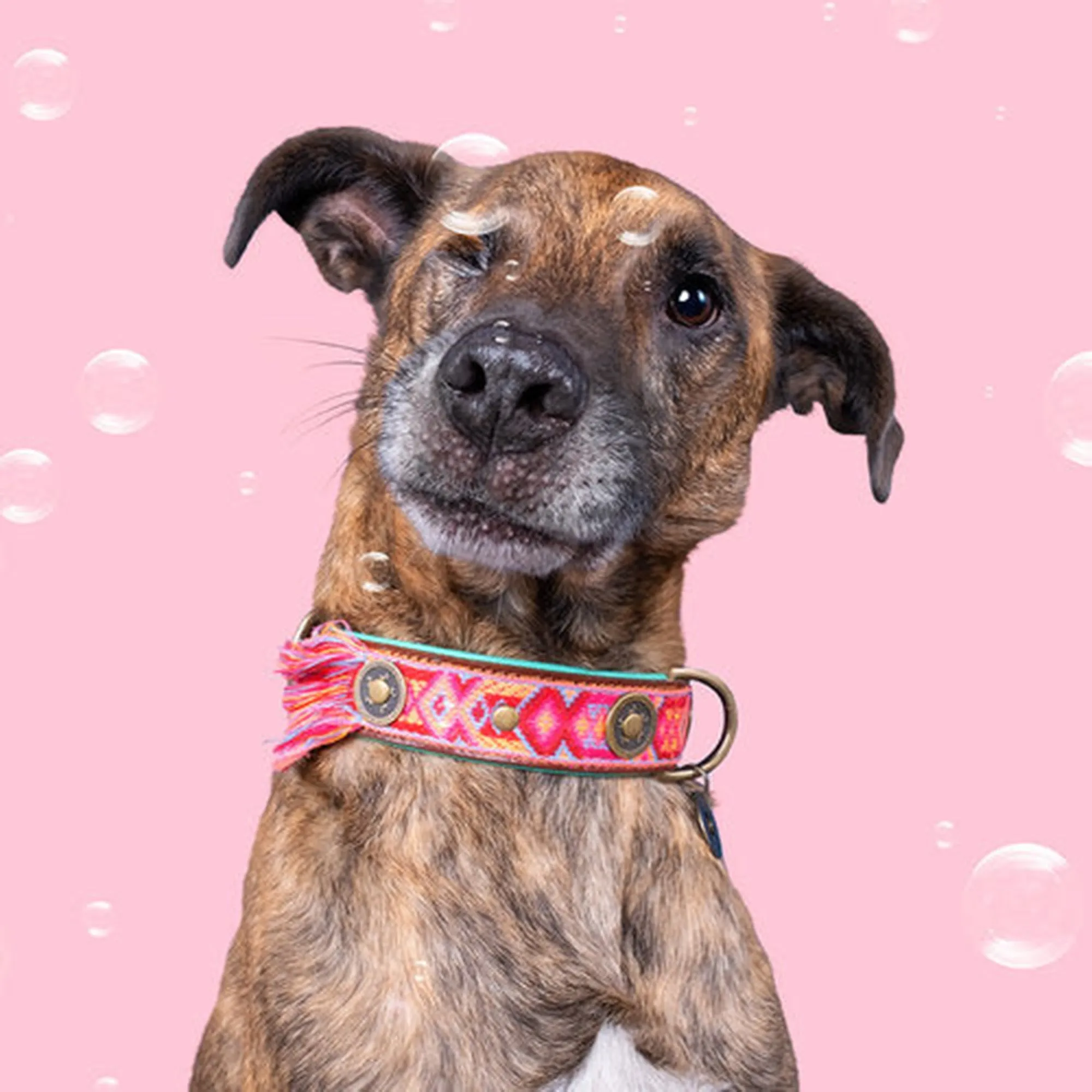 Pink Boho Rosa Dog Collar - Dog with a Mission