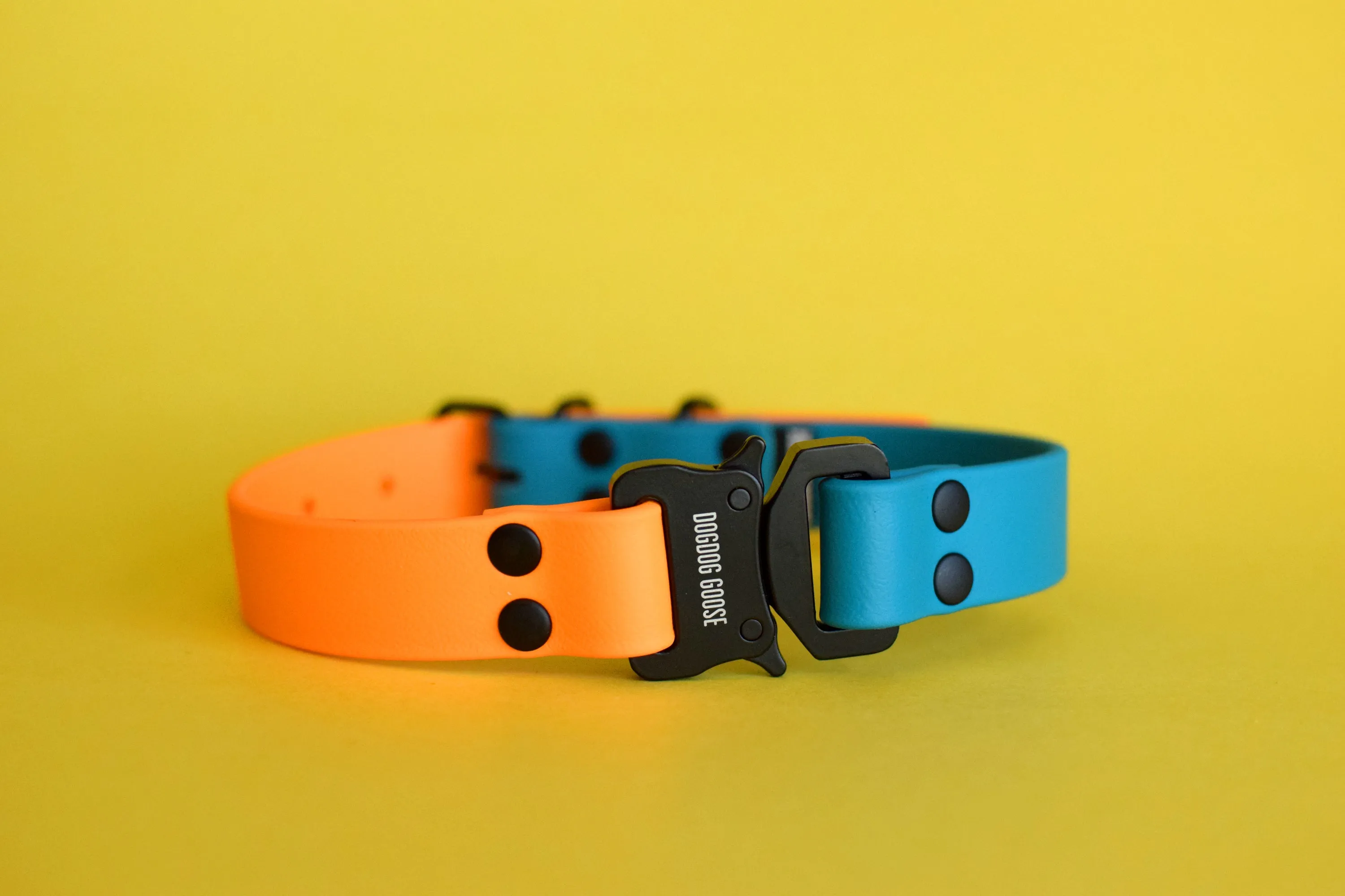 PREMADE COLLECTION - Lagoon & Mango with Black Biothane Dog Collar