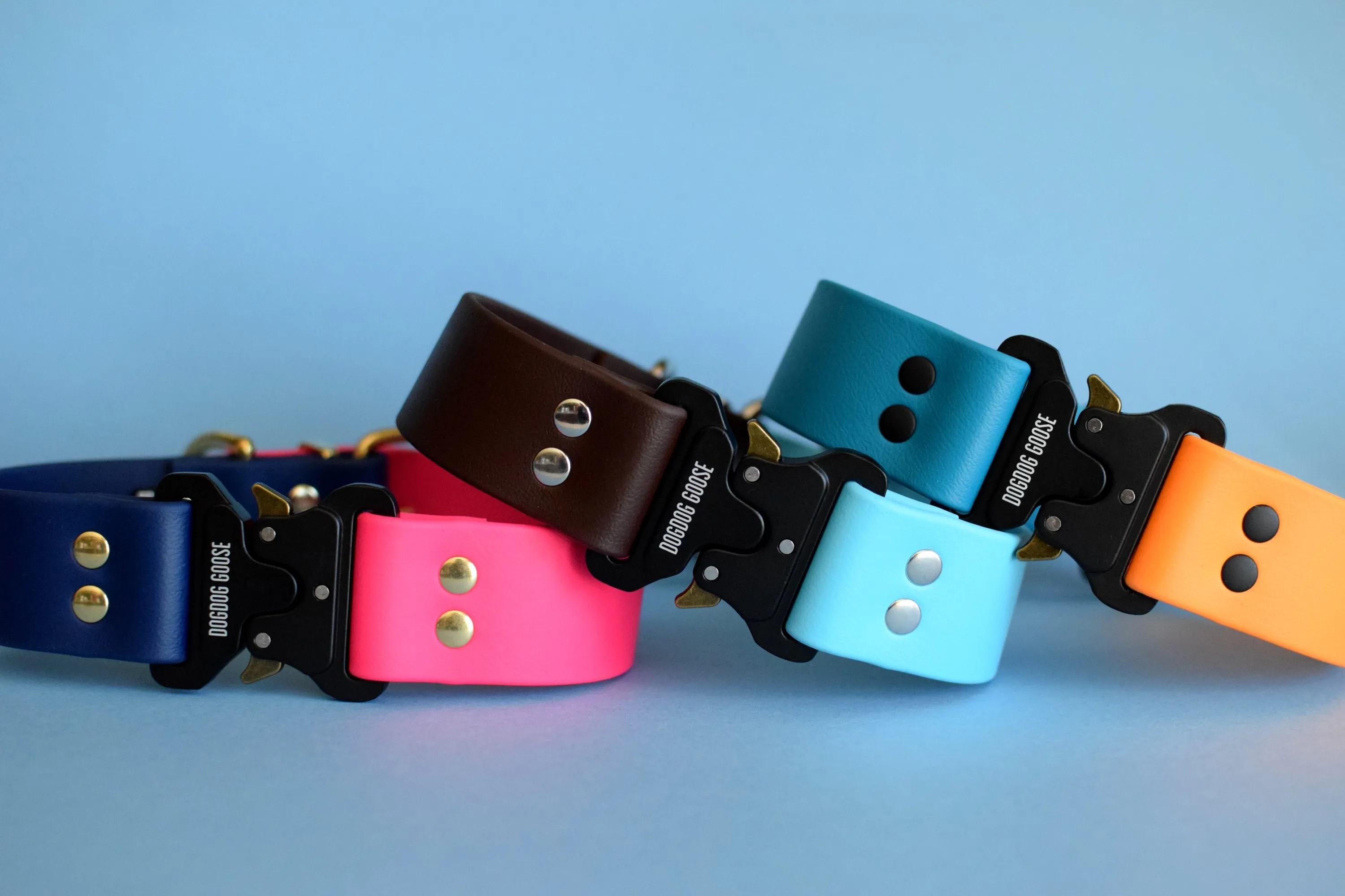 PREMADE COLLECTION - Lagoon & Mango with Black Biothane Dog Collar