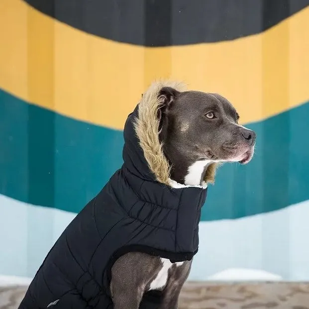 Urban Parka Black Dog Coat